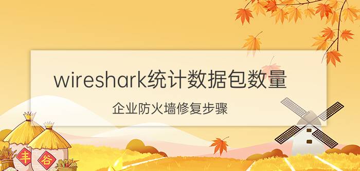 wireshark统计数据包数量 企业防火墙修复步骤？